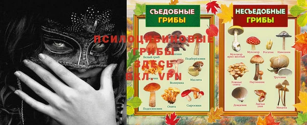 тгк Армянск