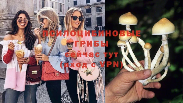 тгк Армянск