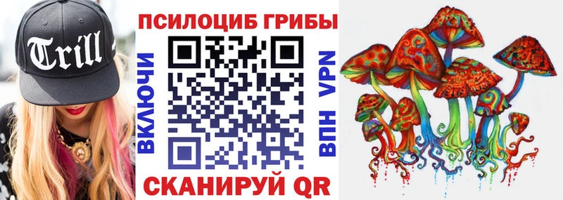Купить где  Сухиничи  Галлюциногенные грибы Magic Shrooms 