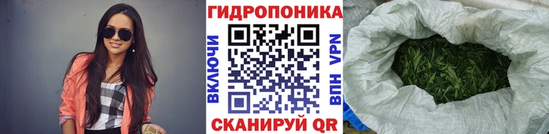 Бошки марихуана план  Купить  Сухиничи 